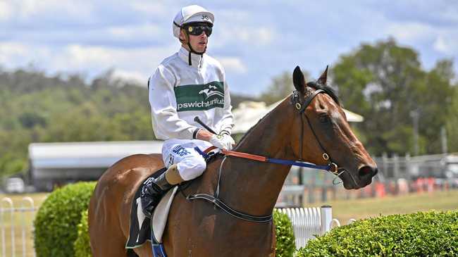 Jockey Jim Orman guides Nothingforthepress back to the Ipswich enclosure after his latest win at Bundamba. Picture: Cordell Richardson