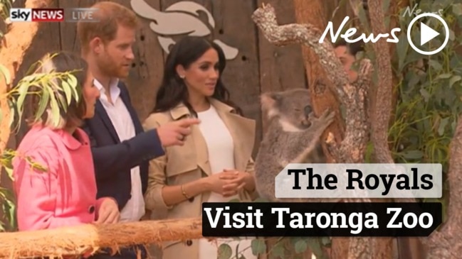 Royal Tour: Harry and Meghan visit Taronga Zoo