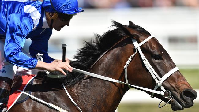 Winx will be out to emulate Kingston Town and win her third straight Cox Plate on Saturday.