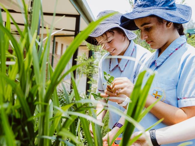 Kids enjoy the magic of gardening. Photo: Cath Young