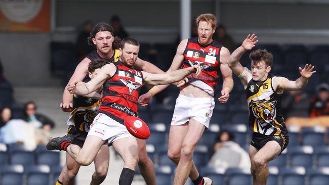 Nat Franklin and Andrew Phillips were both named in the TSL Team of the Year after impressive seasons. Picture: Nikki Davis-Jones