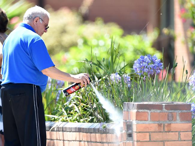 A man sprays his front fence with bug spray to kill the ants that where biting him. Picture: Nicole Garmston