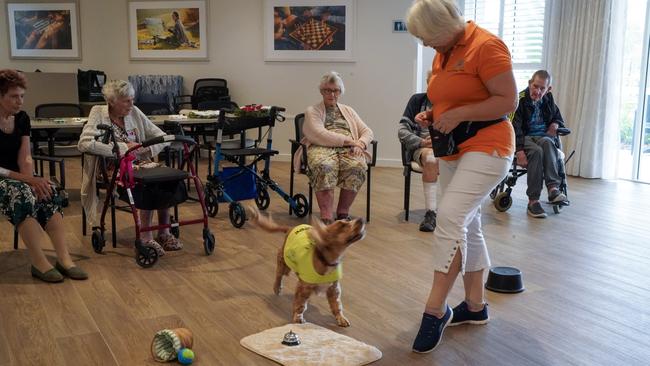 Paws N Effect owner Roslyn Ballantine with care dog Sunni the spaniel performing tricks during their weekly visit to residents at Ozcare Mackay Aged Care Facility. Picture: Heidi Petith