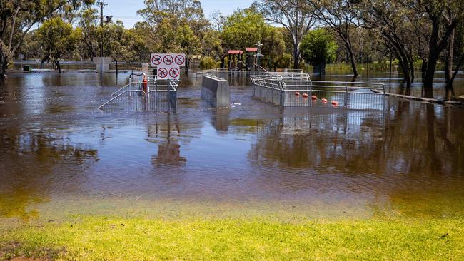 Flood water at the Bert Dix Memorial Park, at Paringa. Picture: Tom Huntley