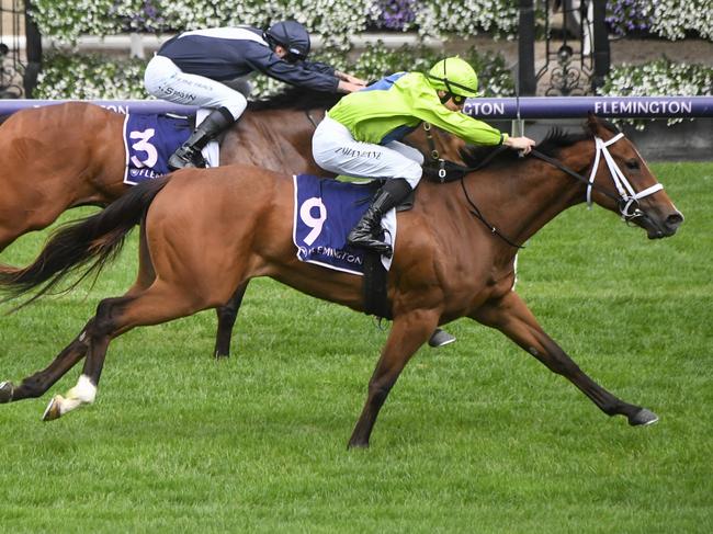 Stretan Angel ridden by Damian Lane wins the World Pool Danehill Stakes at Flemington Racecourse on October 07, 2023 in Flemington, Australia. (Photo by Reg Ryan/Racing Photos via Getty Images)