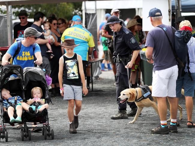 Police out in force at the festival. Picture: NIGEL HALLETT