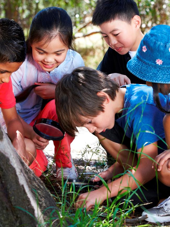 Kids looking for bugs.