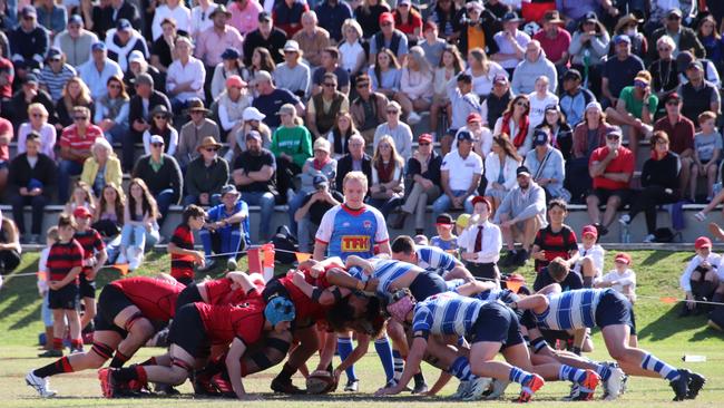 GPS First XV rugby action. Photo: Megan Condon.