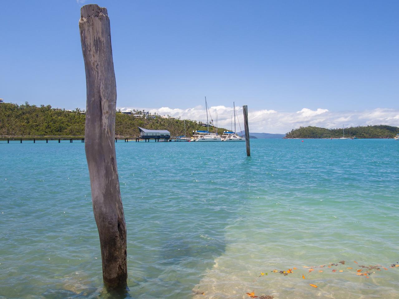 ESCAPE: Whitsundays, Alistair Paton - Jetty at Schute Harbour, departure point for the Salty Dog Sea Kayaking trip.  Picture: Alistair Paton/@al_wildsight/Instagram