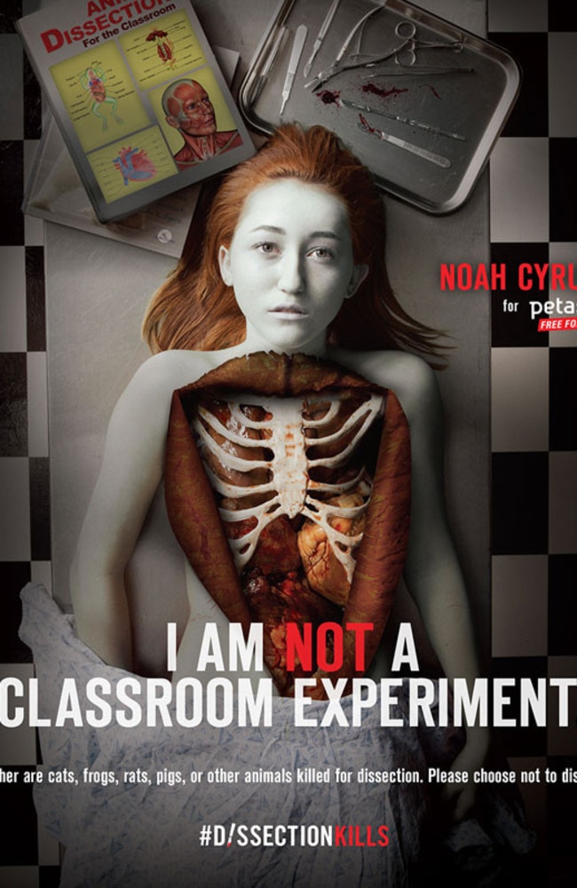 The shocking PETA ad, featuring Noah Cyrus on an examination table.