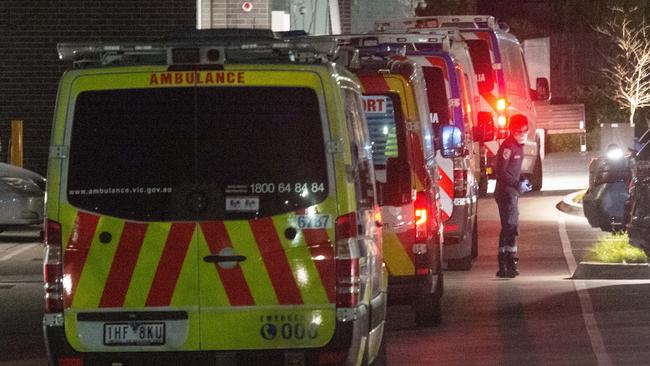 Transport ambulances lined up at Epping Gardens. Picture: Tony Gough