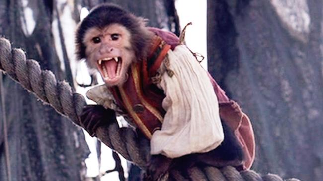 The character Jack the Monkey, from the Pirates of the Carribean films.