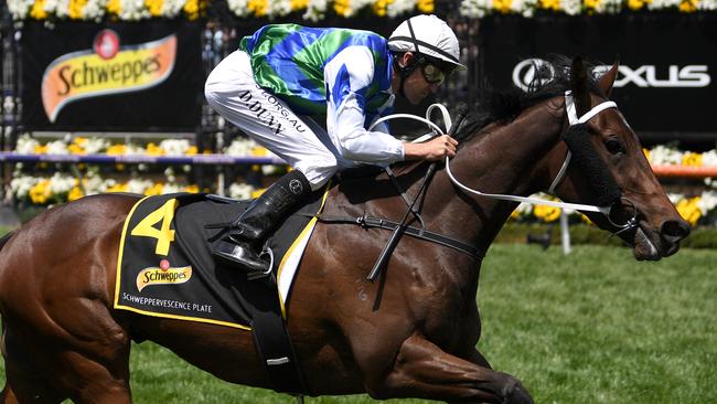 MELBOURNE, AUSTRALIA - NOVEMBER 05: Dwayne Dunn riding Garner to victory during race 5, the Schweppervescence Plate during 2019 Melbourne Cup Day at Flemington Racecourse on November 05, 2019 in Melbourne, Australia. (Photo by Morgan Hancock/Getty Images)