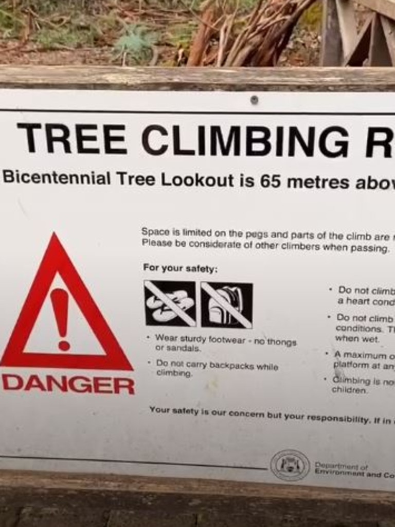 The amazing tree that’s able to be climbed comes with a big warning.