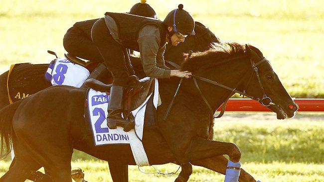 Dandino (left) ridden by Paul Francis, and Side Glance, ridden by Leanne Masterton, enjoy a solid hitout at Werribee. Picture: Wayne Ludbey