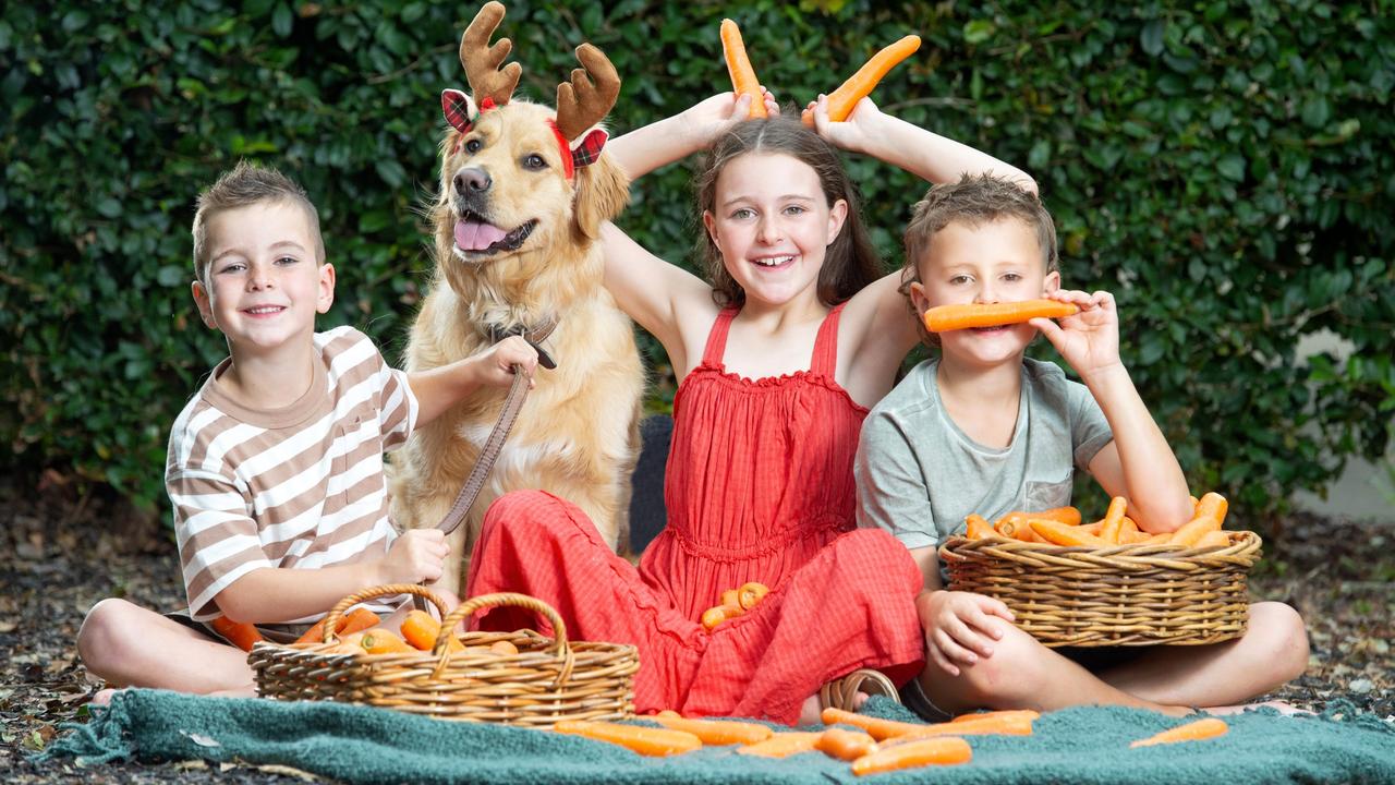 Coles giving away free carrots for reindeer | Herald Sun