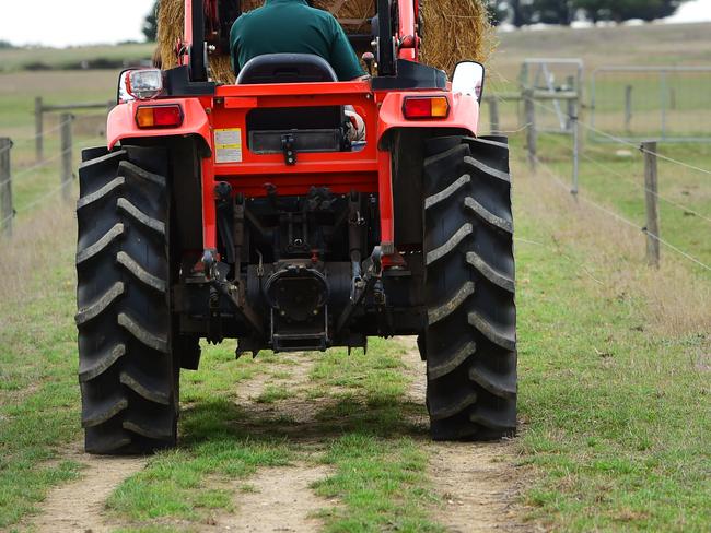 FARM: Great Ocean Road BeefTeresa and Greg Walsh run a self-replacing herd of 100 Squaremeater and Murray Grey cattle on 53 hectares at Cudgee.They sell boxed meat to about 200 customers around Melbourne and Warrnambool under the Great Ocean Road Beef brand.Pictured: Greg on the tractor feeding out a round bale to the cattle.PICTURE: ZOE PHILLIPS