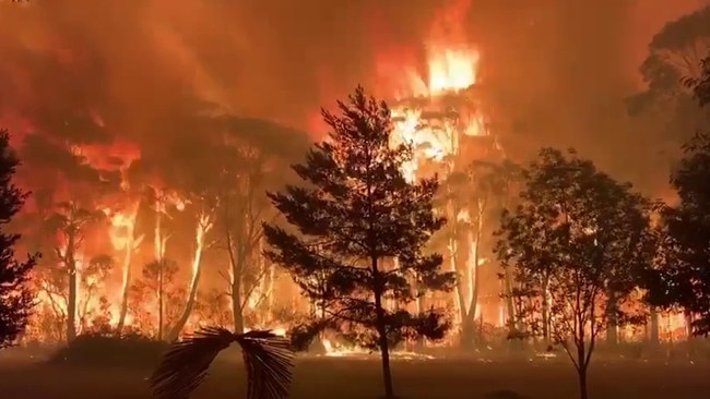 Fire crew were battling towering 16-17 metre flames at Mt Tomah in the Blue Mountains National Park overnight. Picture: NSW RFS