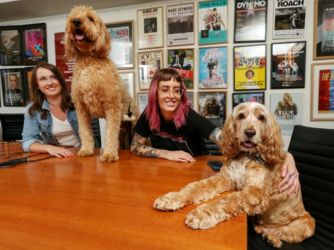 Mushroom Group entertainment agency employees Alice Mouritz with Ted and Julia Nitert with Tucker at work. Picture: Ian Currie