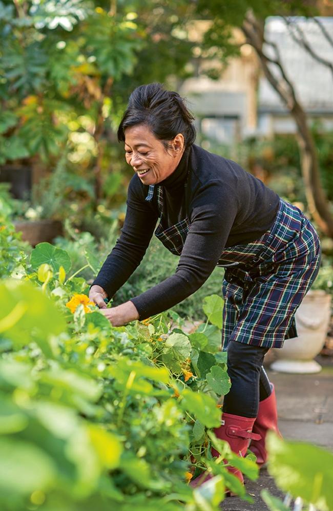 Jane harvesting fresh goodness from her garden. Photo: Alan Benson.