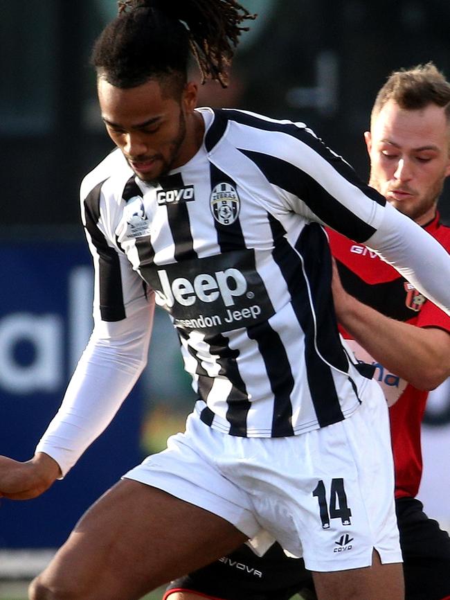 Nicolas Niagioran in action for Moreland. Picture: Hamish Blair