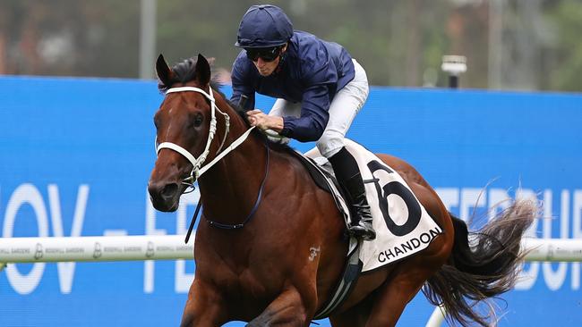 SYDNEY, AUSTRALIA - JANUARY 18:  James McDonald riding Wodeton win Race 1 Chandon Handicap during Sydney Racing at Rosehill Gardens Racecourse on January 18, 2025 in Sydney, Australia. (Photo by Jeremy Ng/Getty Images)