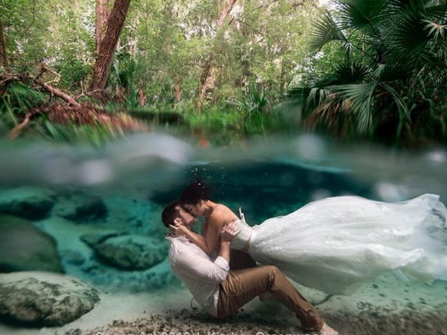 Kimber Greenwood's untitled wedding photo received an honourable mention in the Underwater Art category. Picture: Kimber Greenwood/Underwater Photography Guide