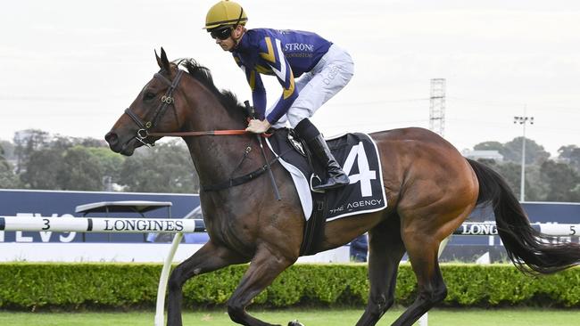 Invade and Conquer is primed for Wyong on Thursday. Picture: Bradley Photos