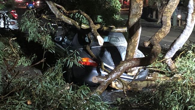 A Porsche car is crushed by fallen branches on Buller St, North Parramatta. Picture: David Meddows