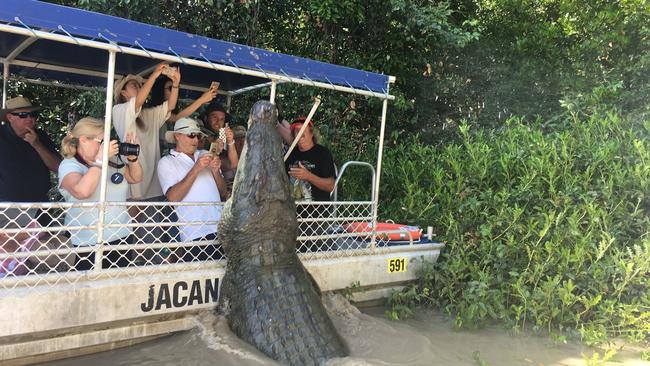 Saltwater crocodile Dominator leaps for his food on a jumping croc tour on the Adelaide River in 2017. Picture: Hayley Sorensen