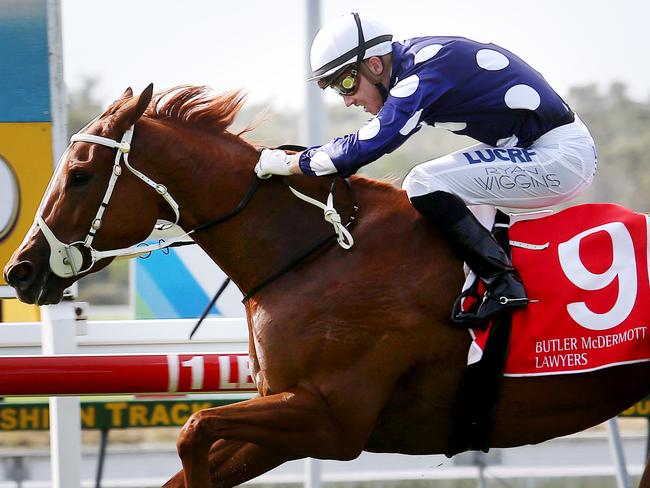 She's Miss Devine winning on Caloundra Cup Day last year. Picture: Tara Croser