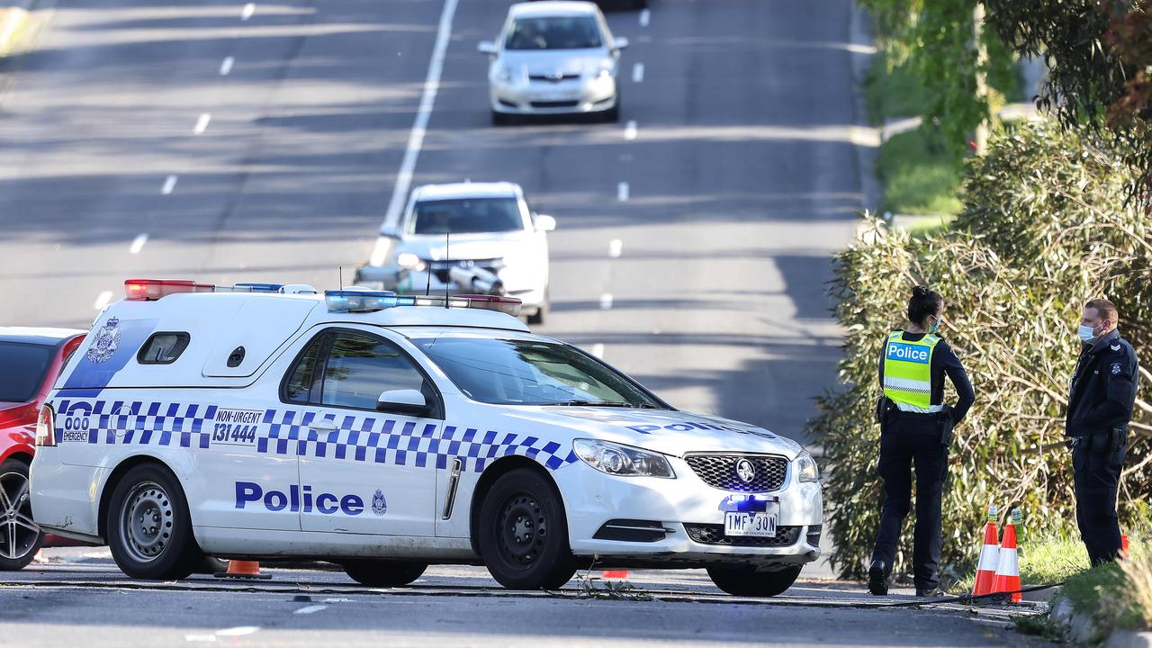 Trees and power lines came down during Melbourne’s wild weather overnight. Picture : NCA NewsWire / Ian Currie