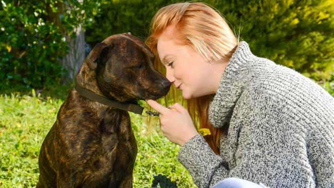 Safe Pets Safe Families helped Amber and her dog Rufus when she left an abusive relationship. Picture: AAP / Brenton Edwards