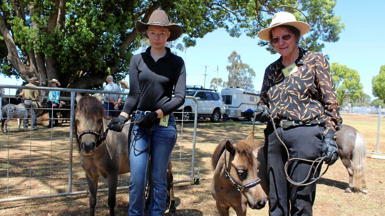 GALLERY: Best of the best gather for miniature horse show | The Courier ...