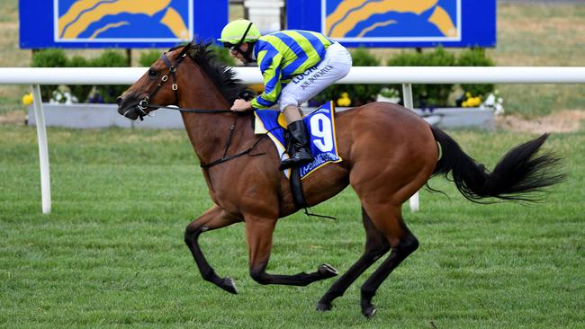 Jockey Joe Bowditch rides La Pomme De Pin to an easy win in the Magic Millions 2YO Clockwise Classic at Ballarat. Photo: AAP Image/Joe Castro