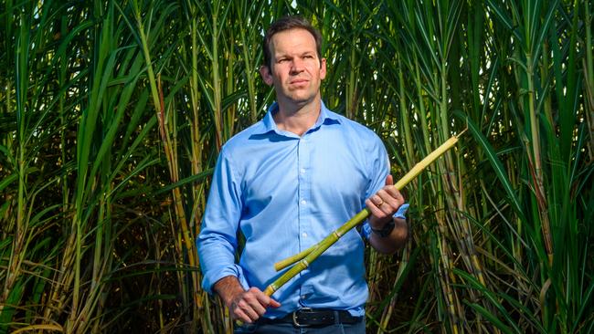 Senator Matt Canavan Picture: Scott Radford-Chisholm