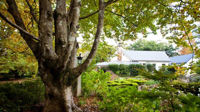 Withycombe in the Blue Mountains is on an 8 acre historic property. Picture: Claire Takacs