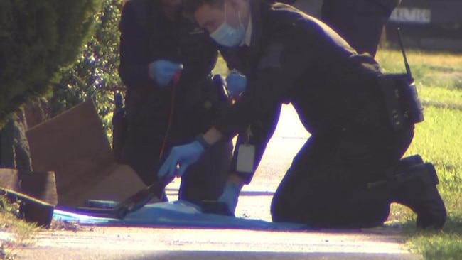 Police found a gun on a nearby footpath.