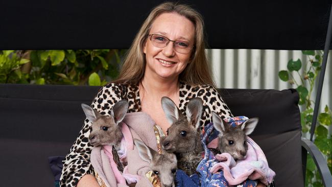 Jenny Hallam with 8-10 month old rescue kangaroos, Bella, Bean, Peanut and Poppet. Picture: Matt Loxton