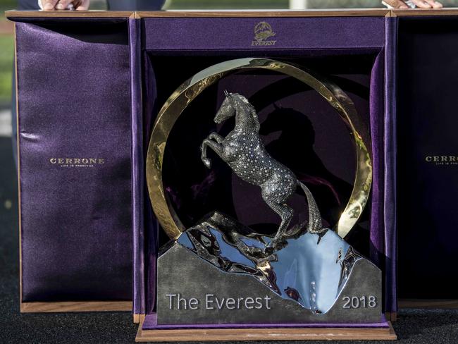 What they’re fighting for: The $320,000 Everest trophy. Picture: Darren Leigh Roberts