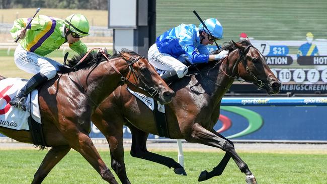 Inkaruna (inside) held on for a narrow win over Sword Of Legacy in the Chairman’s Stakes at Sandown. Picture: George Sal/Racing Photos via Getty Images