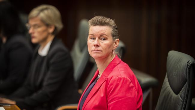 Labor primary industries and water spokeswoman Janie Finlay. Picture: Richard Jupe