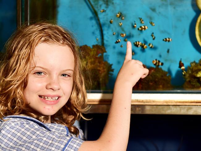 Belgain Gardens State School student Neradah Duncan 9, in their community wildlife conservation award winning aquarium.