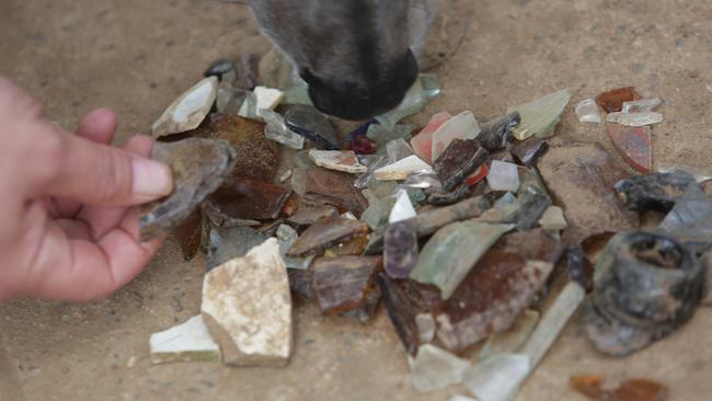 Rohan Jarvis has picked up these dangerous glass shards emerging fom the clay in the park over the past year. Picture: Tim Clapin