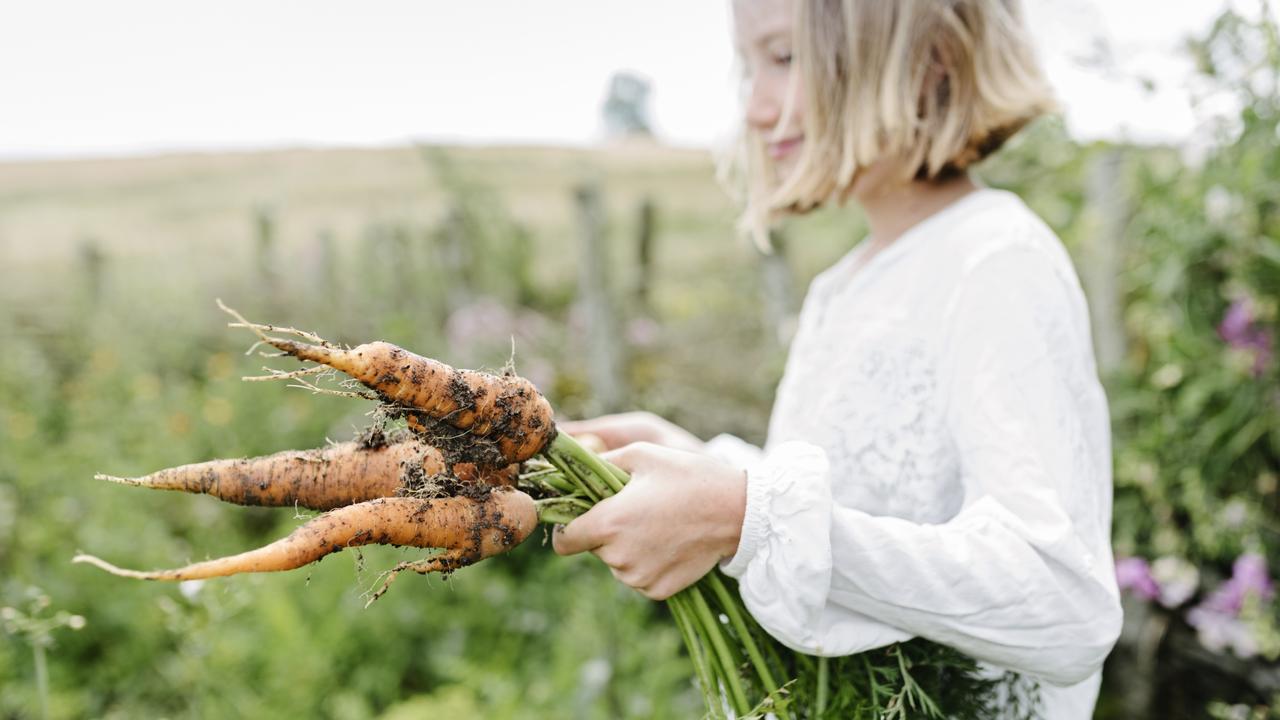 One of cheeseslaw’s three ingredients is carrot, grated, which gives the salad its bright orange colour.