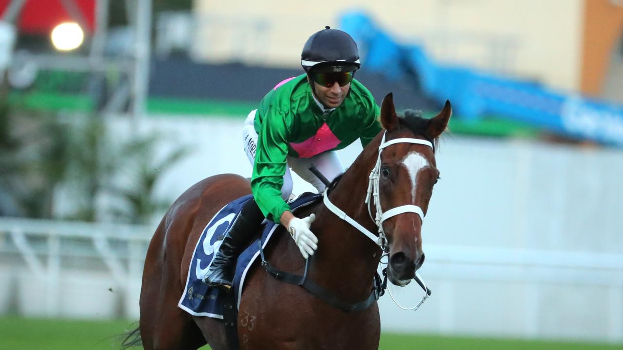 Democracy Manifest was luckless last start in the Railway Stakes. Picture: Jeremy Ng-Getty Images