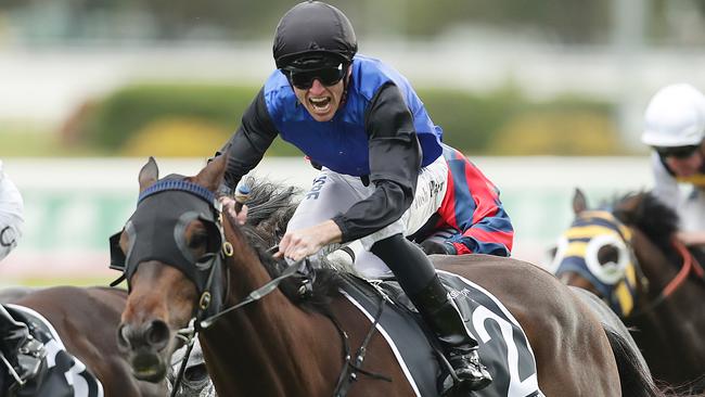 Shadow Hero has the right form to win the Victoria Derby. Picture: Getty Images