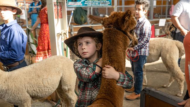 A youngster as the PM – and the chaotic pack surrounding him – passed. Picture: Jason Edwards