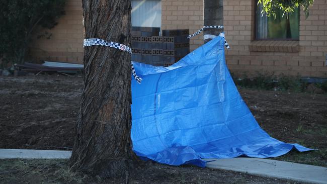 The scene on St Clair Ave, St Clair this morning after a woman dropped a decapitated head on the footpath overnight. Picture: David Swift