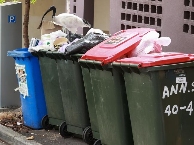 Rubbish is piling up in Sydney’s inner suburbs. Picture: Justin Lloyd.